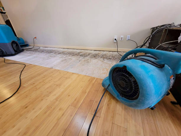 Professional Water Extraction technician working in Attica, OH